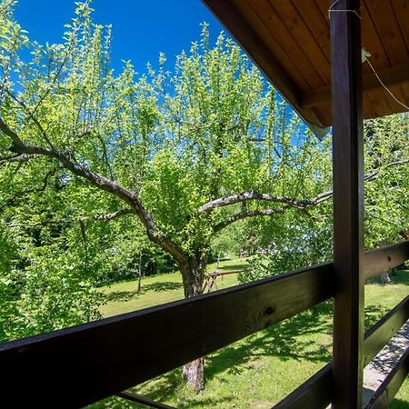 Domki Nad Potokiem Polańczyk Exteriér fotografie